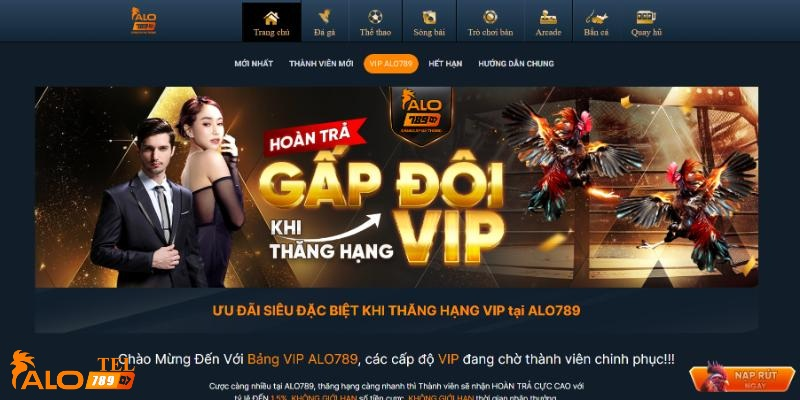 Khám phá thế giới giải trí cùng maxbet và cơ hội chiến thắng lớn tại maxbet casino online